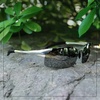 image:imageDUCO Mens Sports Polarized Sunglasses UV Protection Sunglasses for Men 8177sSilver Frame Revo Mirror Lens