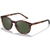 6. Tortoise Frame Green Lens