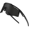 Black Frame Gray Lens