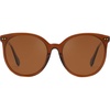 Brown Frame Brown Lens