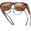Brown Tortoise Frame Brown Lens