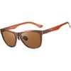 Brown Frame Brown Lens